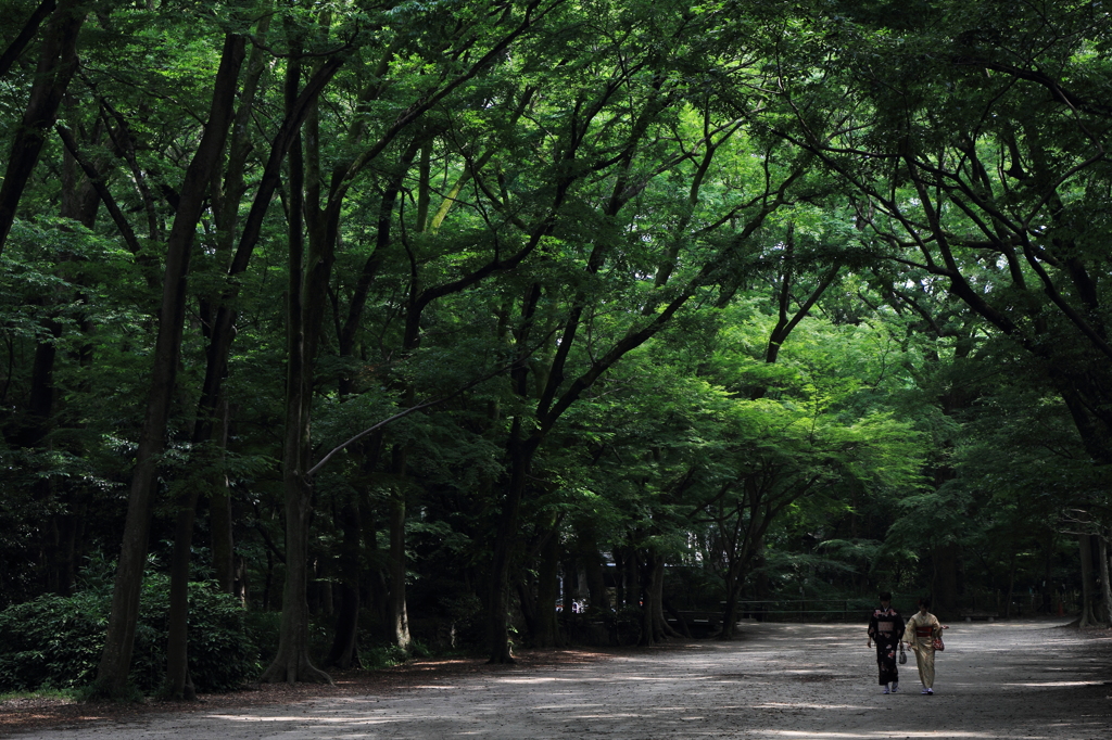 下鴨神社・参道
