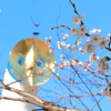 万博公園だよ！