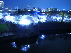 blue light Osaka 4
