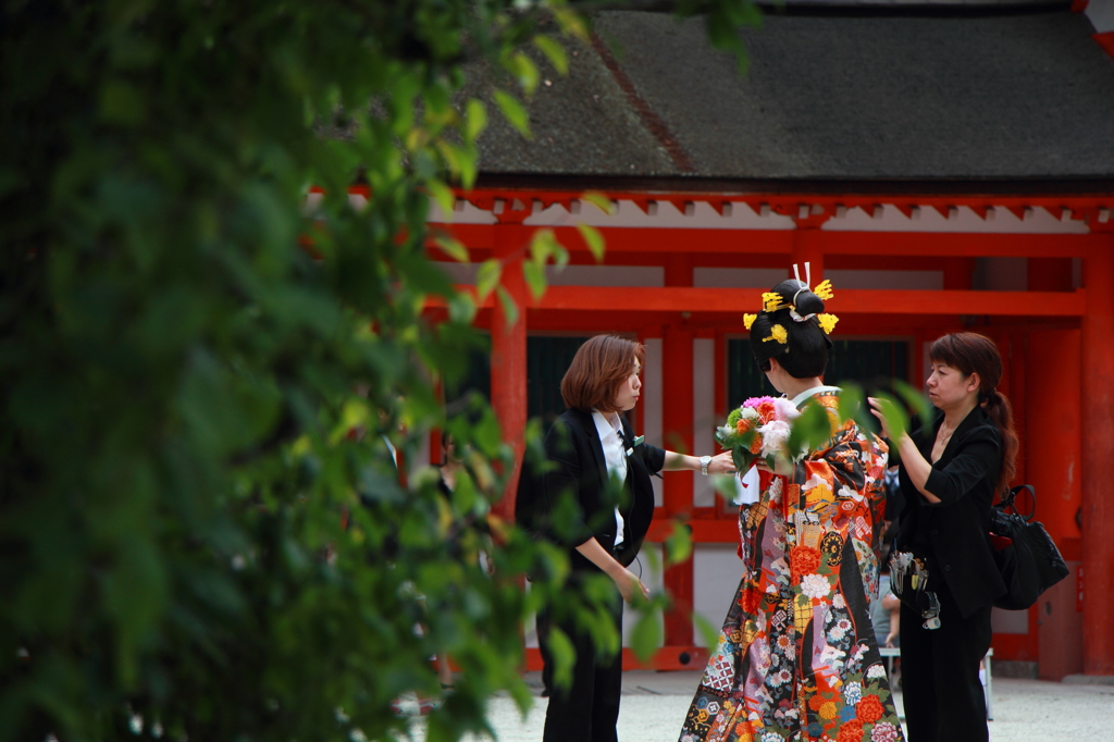下鴨神社・色