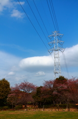 公園の鉄塔