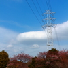 公園の鉄塔