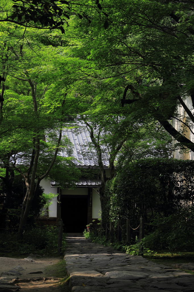 蓮華寺・石畳