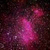 えび星雲(IC4628)