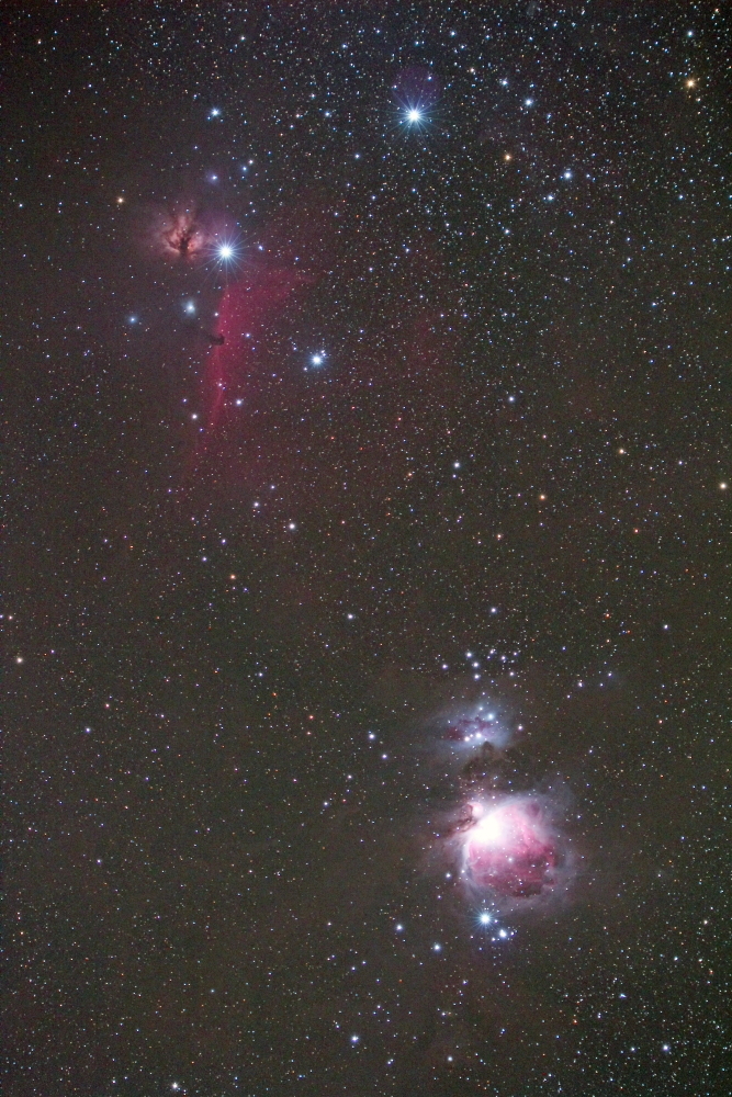 オリオン大星雲&馬頭星雲と燃える木