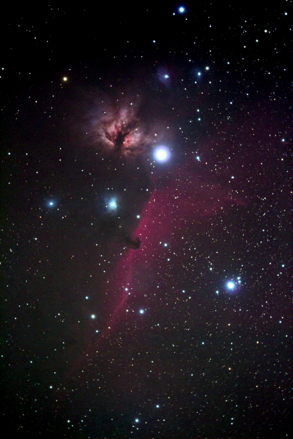 馬頭星雲と燃える木