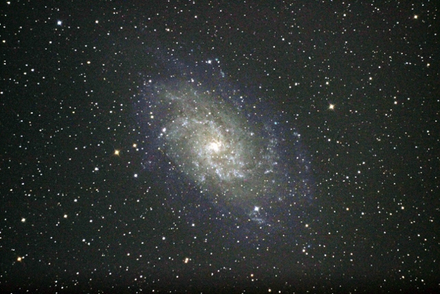 M33