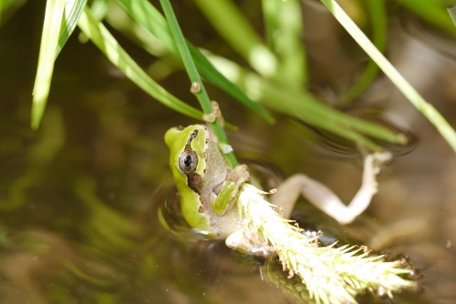 のんびり行こうよ♪