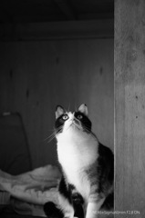 何を見つけたかな～～(^^)/