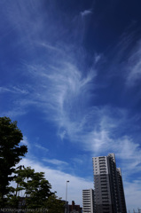 梅雨の晴れ間