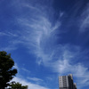 梅雨の晴れ間
