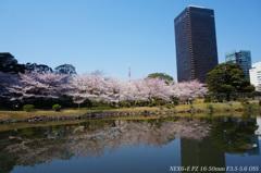 旧芝離宮恩賜庭園