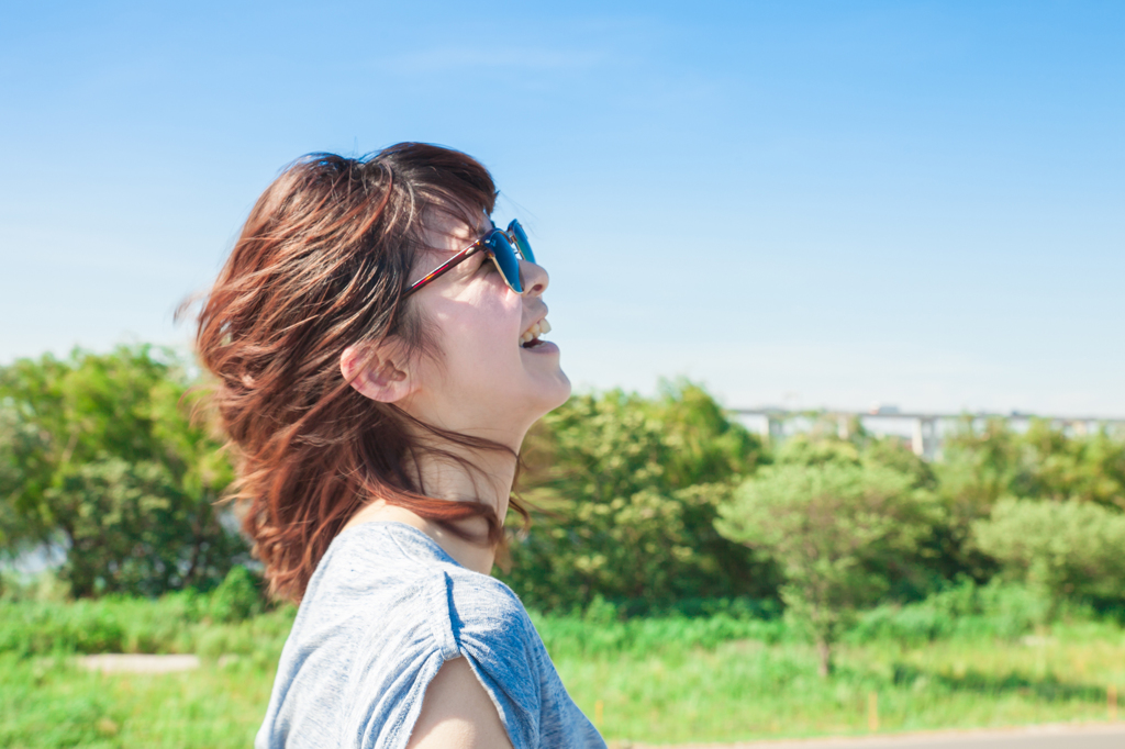 真夏の土手散歩