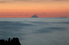 夢の島へようこそ