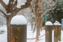 雪団子