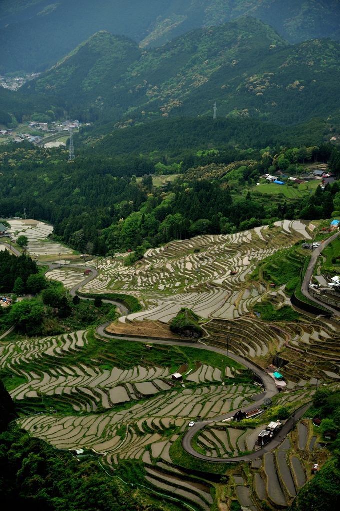 丸山千枚田