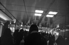 IMG_1279[1]
