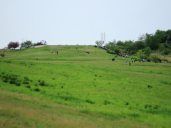 フォーリーの丘