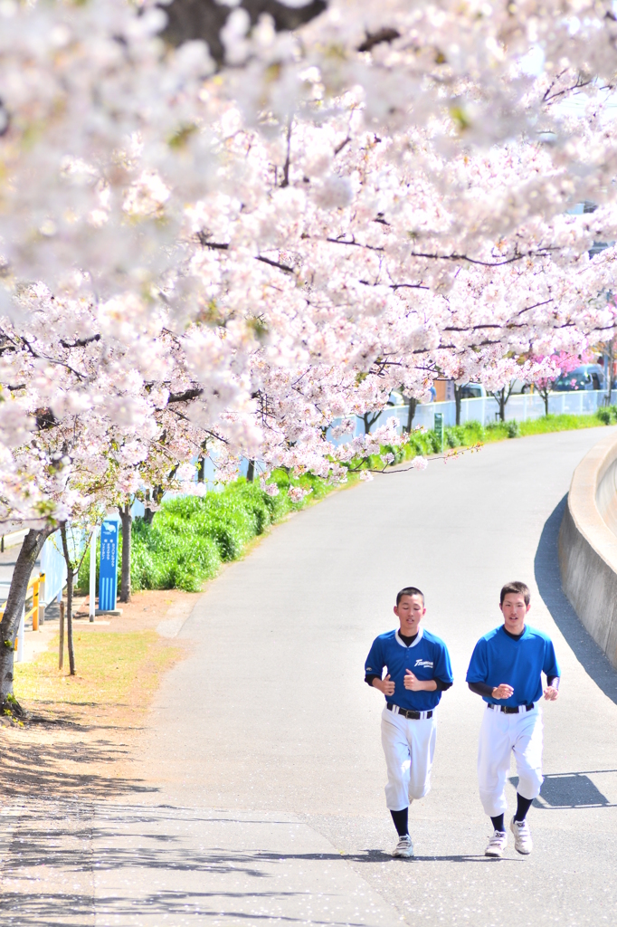 鶴見川