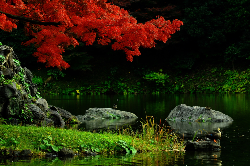 Phot