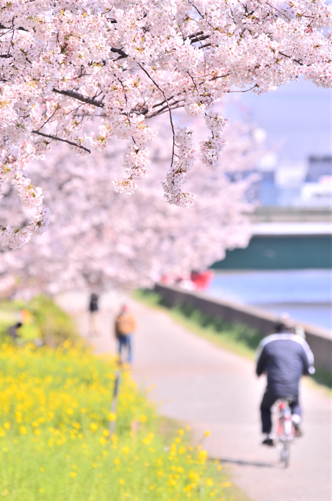 鶴見川
