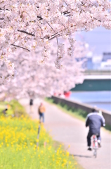 鶴見川