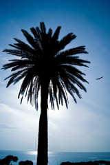Phot