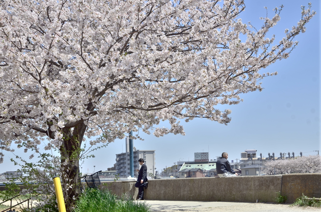 鶴見川