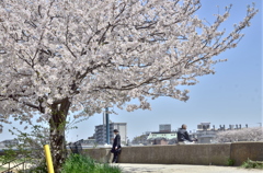 鶴見川