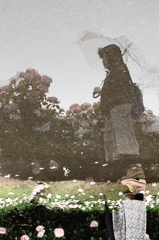 雨のばら園