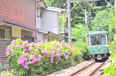 江ノ電