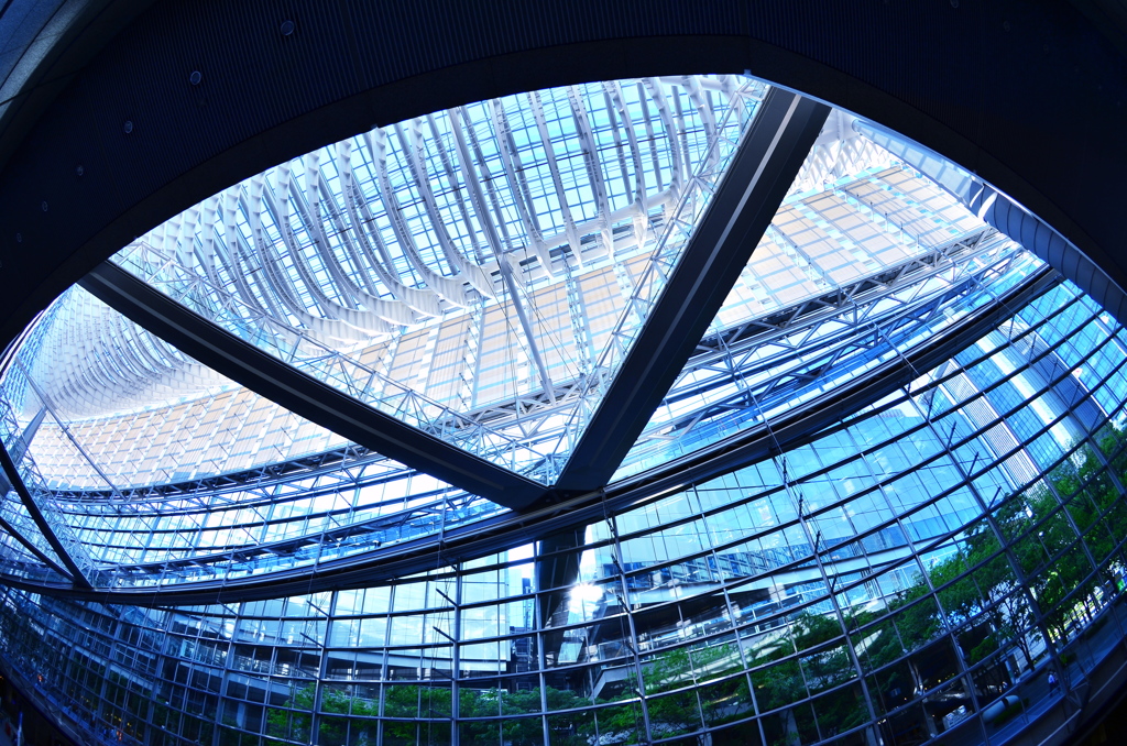 国際フォーラム