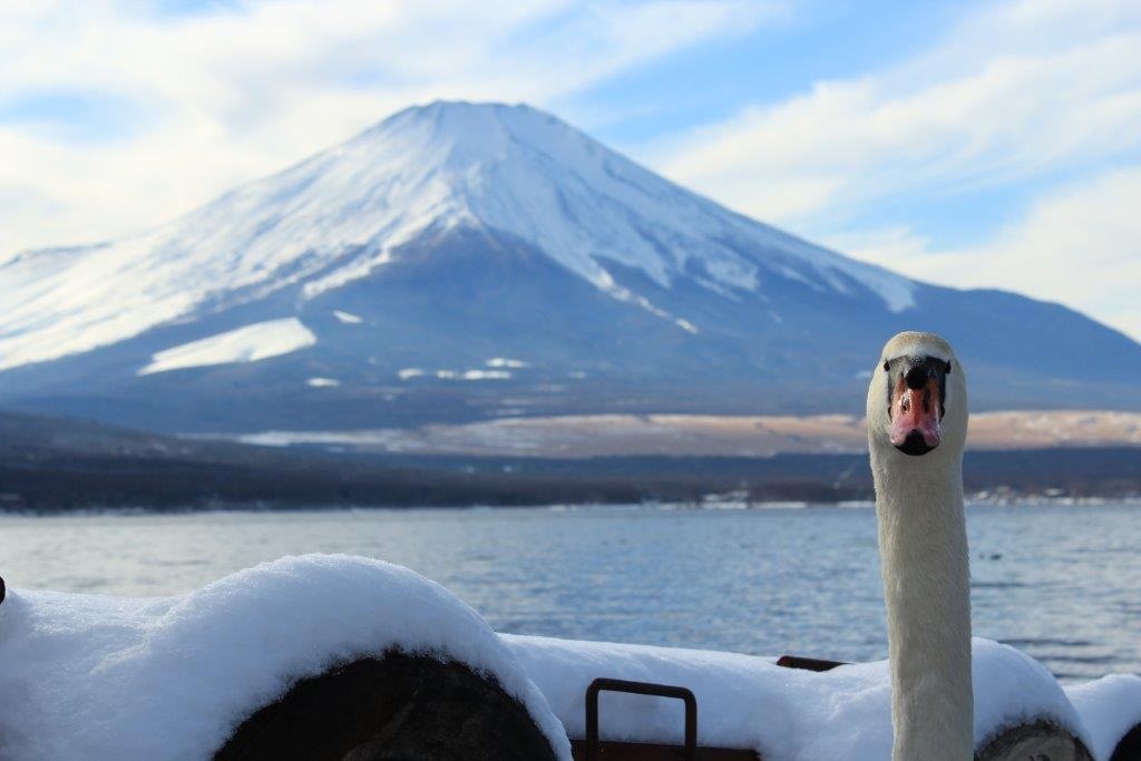 えっ…何か⁈