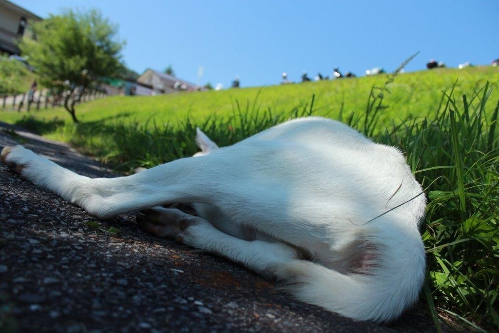 木陰でひと休み