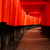 鳥居の先