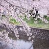 2015五条川