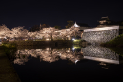 夜桜ライトアップ