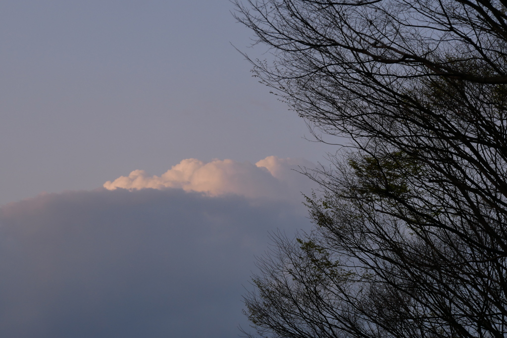 朝雲