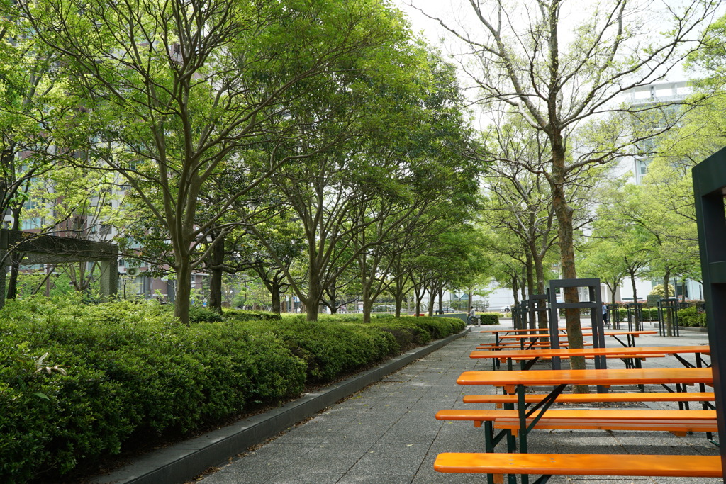 地ビールフェア（RKB側ベンチ）