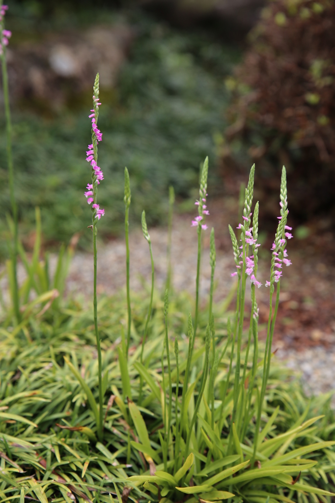 みんないっしょ