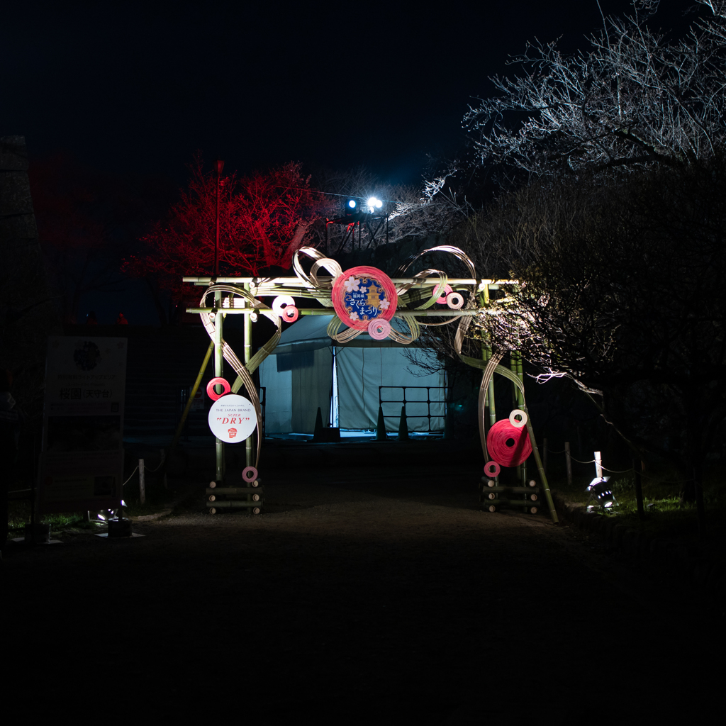 第10回　福岡城さくらまつり