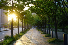 Street