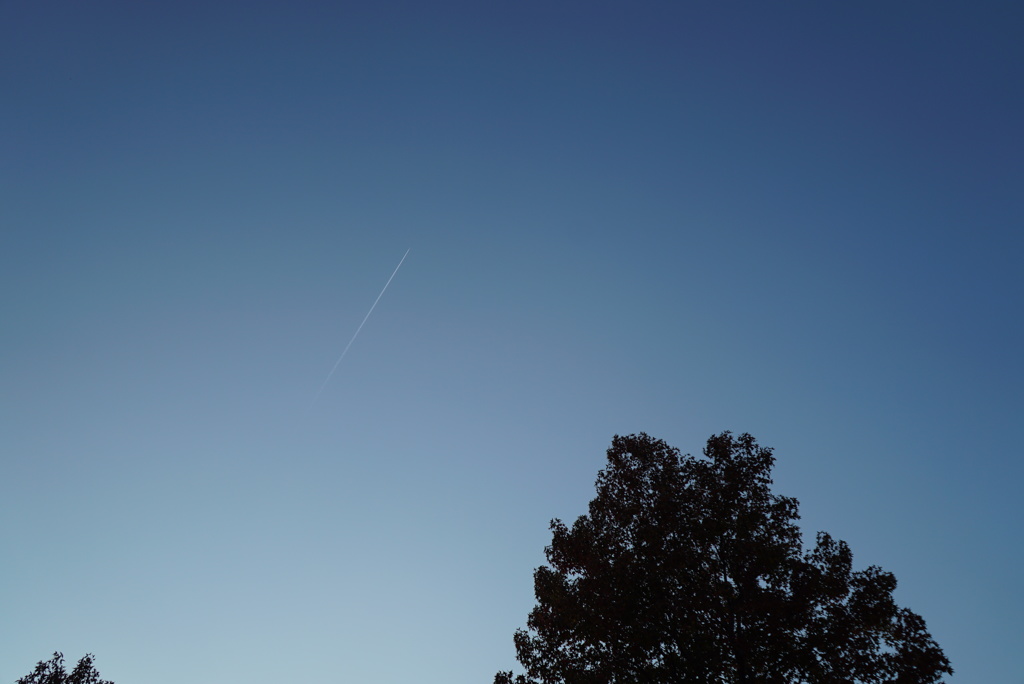 青空とひこうき雲