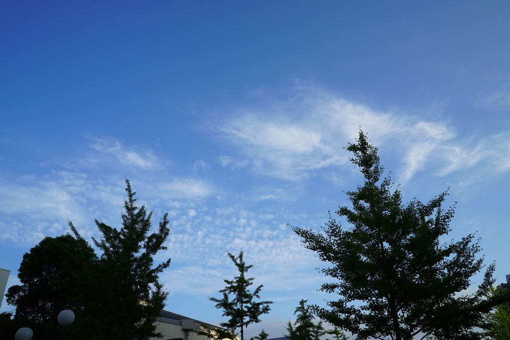 青空
