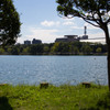 久しぶりの大濠公園（１）