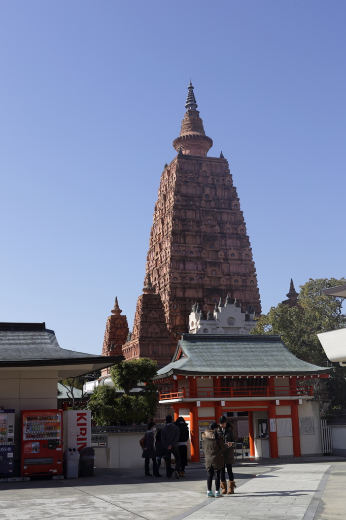 平和大仏塔極楽殿