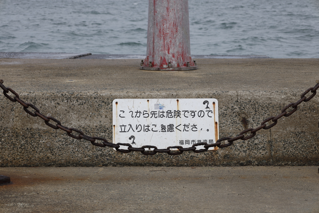 掲示