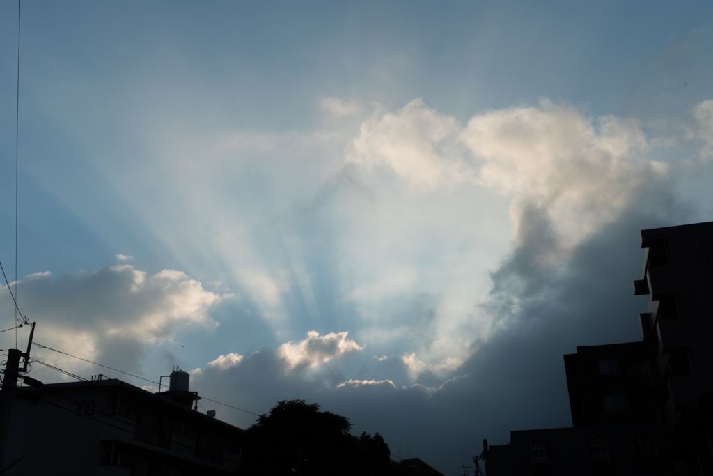 朝雲１