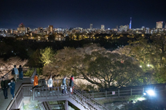 第10回　福岡城さくらまつり