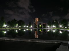 福岡市立博物館　ライトアップ